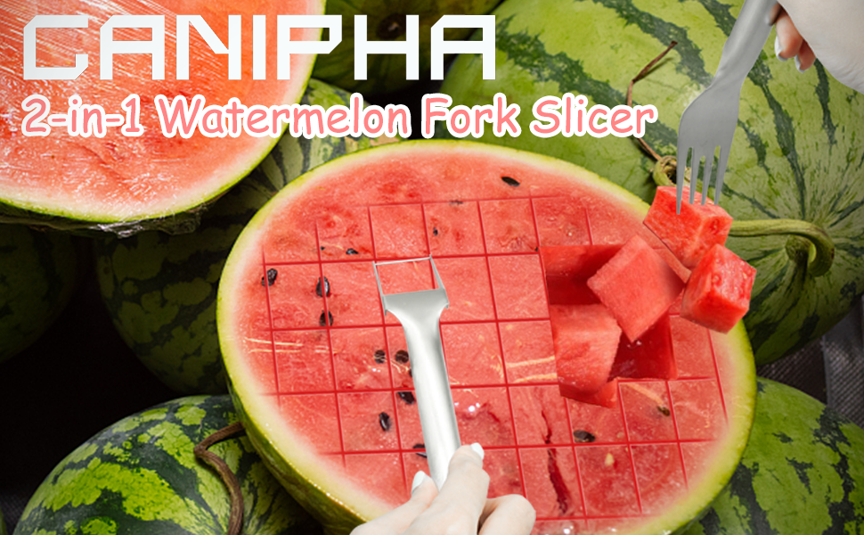 efcb1536-b972-4006-898a-a396aa758897.__CR0,0,970,600_PT0_SX970_V1___