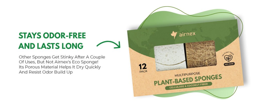 28096ec1-78a1-4560-994d-be9341f42d52.__CR0,0,1464,600_PT0_SX1464_V1___