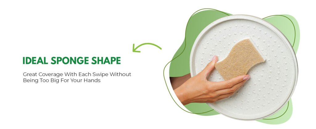 5e205fed-7ef4-4bcf-a95b-f491ae1a8406.__CR0,0,1464,600_PT0_SX1464_V1___